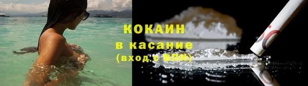 стаф Кулебаки