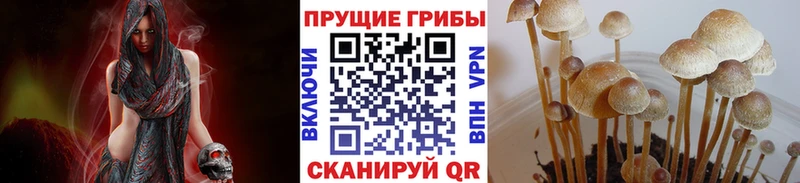Псилоцибиновые грибы прущие грибы  ОМГ ОМГ сайт  Гдов 